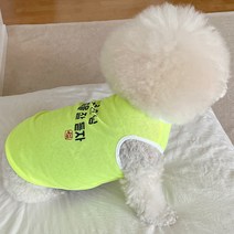 바이담수미 강아지 말씀 매쉬 나시, 옐로우