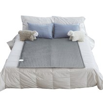 핸디크 전기매트 전자파없는 탄소매트 온열매트 캠핑전기장판, 슈퍼싱글(110 x 200 cm)