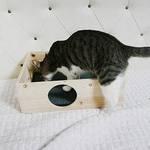 나을디자인 고양이 원목 하우스, 혼합색상
