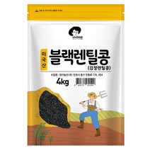 엉클탁 미국산 블랙렌틸콩 검정렌틸콩, 1개, 4kg