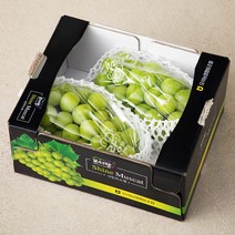 모서랑 농협 GAP 인증 샤인머스켓, 1.5kg, 1박스