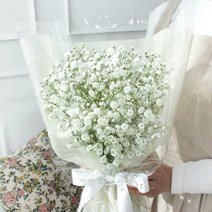 코코도르팜 생화 프리미엄 안개꽃다발, 화이트