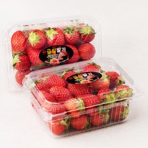 산지직송 예담 진주 금실 딸기, 500g(상), 2개