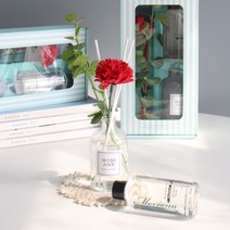 모리앤 그린스트라이프 카네이션 디퓨저 선물세트 2p, 자몽향