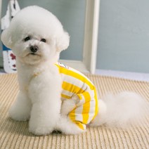 에이미러브즈펫 반려동물 세로줄 스트라이프 멜빵 나시 올인원, 옐로우