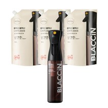 홈백신 블랙신 다목적 세정제 공용기 280ml + 리필 750ml x 3p 세트, 1세트