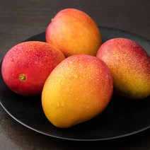 좋은하루 제주는 애플망고지, 1.5kg(대과,4입), 1개