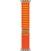 Apple 정품 애플워치 알파인 루프, 49mm, Large, 오렌지
