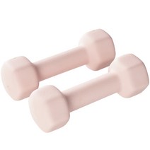 앳플리 LW 미용 아령 2p, 2kg