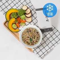 하이독 강아지 케어브이 키드프 화식사료 50g (냉동), 8개