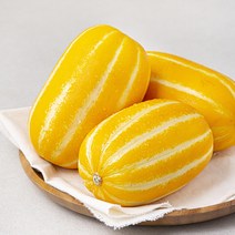 성주 월항 당도선별 참외, 1kg(3~6입), 1팩