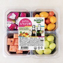 All 바른농장 골라먹는 4색과일 3, 970g, 1팩