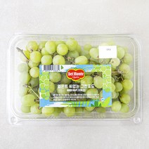 델몬트 씨없는 그린포도, 800g, 1개