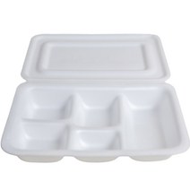 팩가이 일회용 접시 5칸도시락, 1개입, 10개
