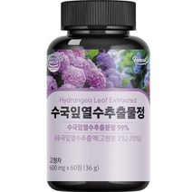 퍼니트 수국잎 열수추출물 정 60p, 36g, 1개