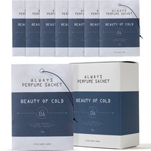 더스윗홈 올웨이즈 퍼퓸 사쉐 옷장방향제 뷰티오브콜드 8p, 80g, 1개