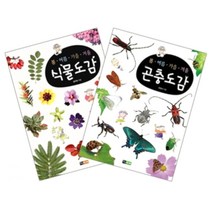 봄 여름 가을 겨울 식물도감 곤충도감 세트 전2권 양장본, 진선아이