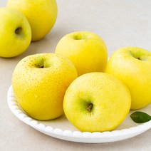 과일 가격검색