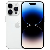 Apple 정품 아이폰 14 Pro 자급제, 실버, 256GB