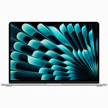 Apple 2023 맥북 에어 15, 실버, M2 8코어, 10코어 GPU, 1TB, 24GB, 35W 듀얼, 한글