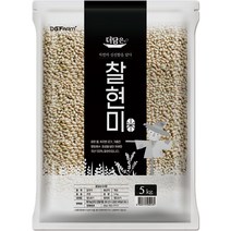 더담은 국산 찰현미, 1개, 5kg