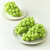 다조은 비파괴당도선별 샤인머스캣, 2kg, 1개 상품 이미지