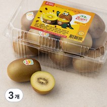 제스프리 썬골드키위, 1.55kg(XL, 12개입), 3개