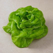 국내산 무농약 버터헤드레터스, 90g, 1통
