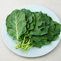 국내산 친환경 케일, 100g, 1개