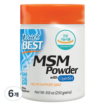 [쿠팡수입] 닥터스베스트 MSM 파우더, 6개, 250g