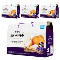 즙쟁이 도라지배즙, 80ml, 120개입