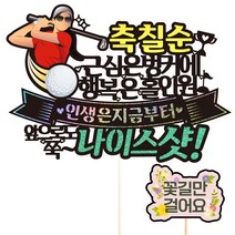 비비드레인 생신 환갑 칠순 케이크 토퍼 + 픽 세트, 176 골프 칠순 여자, 1세트