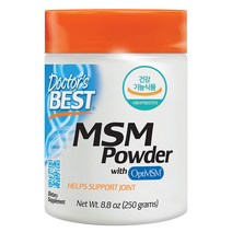 [쿠팡수입] 닥터스베스트 MSM 파우더, 250g, 1개