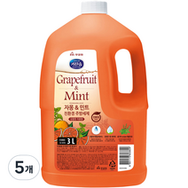 자몽 앤 민트 친환경 주방세제, 3L, 5개