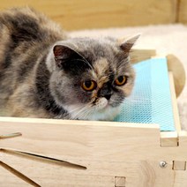 엉클펫 자작나무 고양이 매쉬 스크래쳐 해먹, 스카이블루, 1개