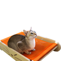 엉클펫 자작나무 고양이 매쉬 스크래쳐 해먹, 오렌지, 1개