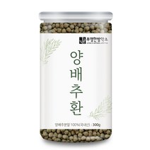 부영한방약초 양배추환, 300g, 1개