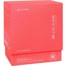 뉴트리코어 WCS NOCHESTEM 저분자 펩타이드 GT 콜라겐 담다 60p, 1개, 1200g