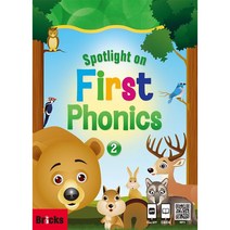 Spotlight On First Phonics Set 2, BRICKS