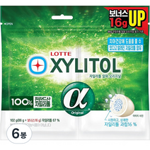 자일리톨 껌 알파 오리지날 리필, 102g, 6개