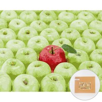 아트조이 DIY 명화 그리기 세트 40 x 50 cm 가로형, 행운가득 사과가득