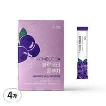 디엔 콤부차 블루베리, 5g, 15개입, 4개