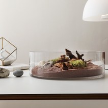 글라스코 원형화병 SH 25 x 10 cm, 투명