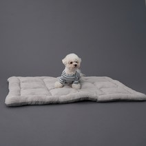 아하토이 코블리 펫 쿠션, 그레이