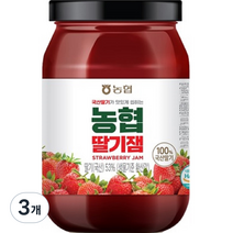 농협 딸기잼, 3개, 370g