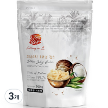 폴링인브이 리얼 99.7% 크리스피 코코넛 칩스, 300g, 3개