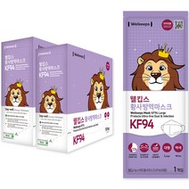 웰킵스 황사 방역 마스크 대형 KF94, 100매, 1개