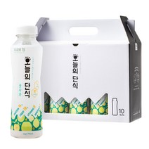 팜79 오늘의단식 단백질쉐이크 풋사과, 50g, 10개