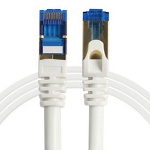 애니포트 플러스 프리미엄 고급형 랜선 SFTP 0.3M CAT8, 화이트, 2개