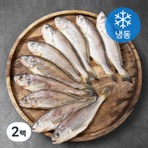 아라장 반건조 참조기 (냉동), 2팩, 700g(10마리)